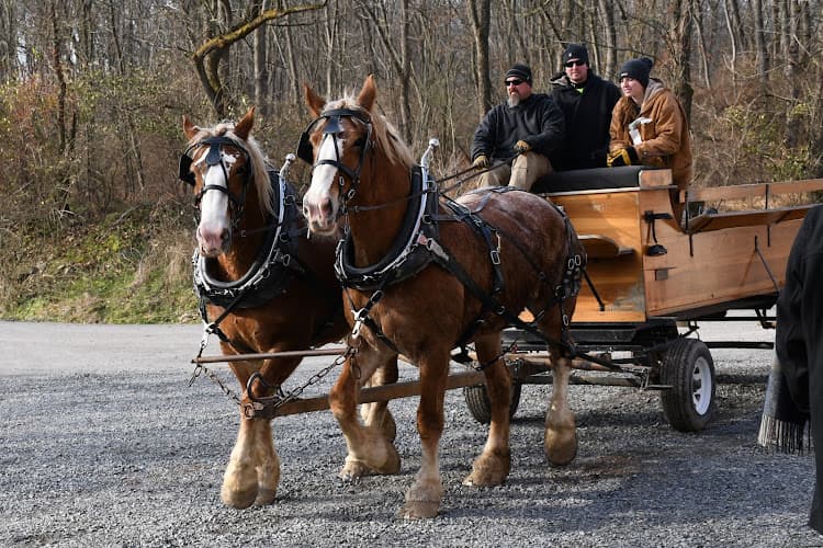 Geissler Tree Farms Inc logo